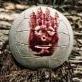 Wilson